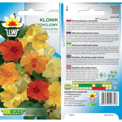 Nasiona Klonik pokojowy Tor361