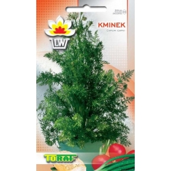  Nasiona Kminek Tor587