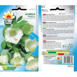 Nasiona Kobea biała Tor364