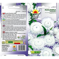 Nasiona Kocanka ogrodowa Tor365