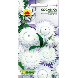 Nasiona Kocanka ogrodowa Tor365