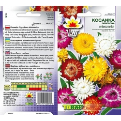 Nasiona Kocanka ogrodowa Tor367