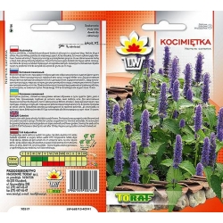Nasiona Kocimiętka Tor586