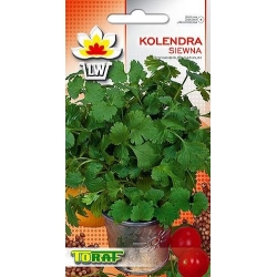Nasiona Kolendra siewna Tor588