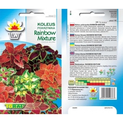 Nasiona Koleus, Pokrzywka Rainbow Mixture Tor370