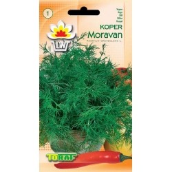 Nasiona Koper ogrodowy MORAVAN Tor94