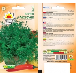Nasiona Koper ogrodowy MORAVAN Tor94