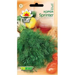 Nasiona Koper ogrodowy Sprinter Tor95