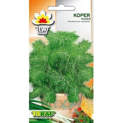 Nasiona Koper włoski Tor589