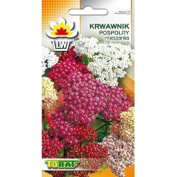 Nasiona Krwawnik pospolity Tor368