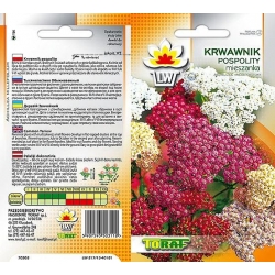 Nasiona Krwawnik pospolity Tor368