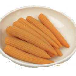 Nasiona Kukurydza cukrowa Minigold Tor96