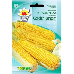 Nasiona Kukurydza cukrowa Golden Bantam Tor97