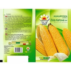 Nasiona Kukurydza cukrowa Złota Karłowa Tor98