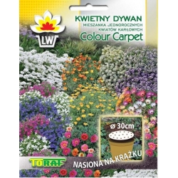 Nasiona Kwietny Dywan mix kwiatów Tor525