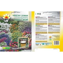 Nasiona Kwietny Dywan mix kwiatów Tor525