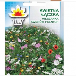 Nasiona Łączka Miesz kwiatów polnych Tor500