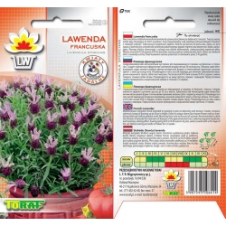 Nasiona Lawenda francuska Tor592