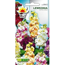 Nasiona Lewkonia Tor371