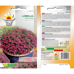 Nasiona Lobelia Tor372