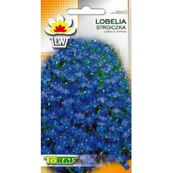 Nasiona Lobelia stroiczka Tor375