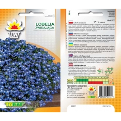 Nasiona Lobelia zwisająca Tor373