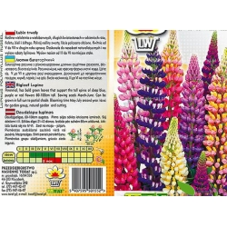 Nasiona Łubin trwały Tor380