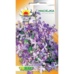 Nasiona Maciejka Tor382