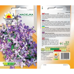 Nasiona Maciejka Tor382