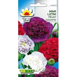 Nasiona Mak letni pełny Tor384