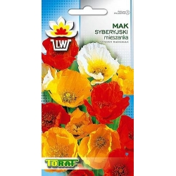 Nasiona Mieszanka do ogrodów skalnych Tor395