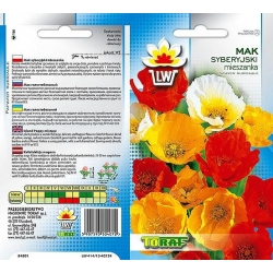 Nasiona Mieszanka do ogrodów skalnych Tor395