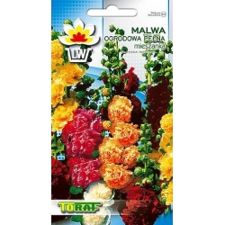 Nasiona Malwa ogrodowa pełna mieszanka Tor389