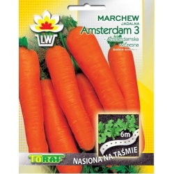 Nasiona Marchew Amsterdamska NA TAŚMIE Tor510