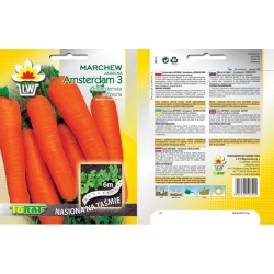 Nasiona Marchew Amsterdamska NA TAŚMIE Tor510