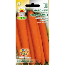 Nasiona Marchew Amsterdamska wczesna Tor100
