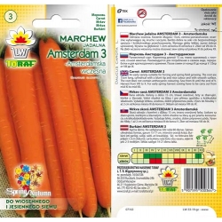 Nasiona Marchew Amsterdamska wczesna Tor100