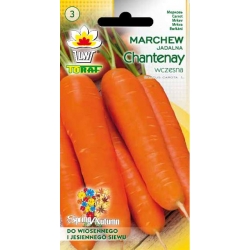 Nasiona Marchew Chantaney wczesna Tor102