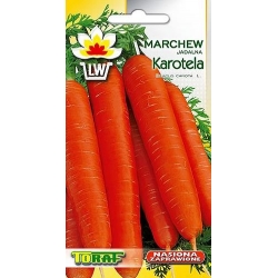 Nasiona Marchew Karotela średnio wczesna Tor107