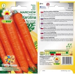 Nasiona Marchew Karotina wczesna Tor106