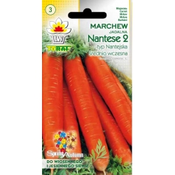 Nasiona Marchew Nantaise śr.wczesna Tor108