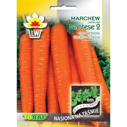  Nasiona Marchew Nantaise wczesna NA TAŚMIE Tor511