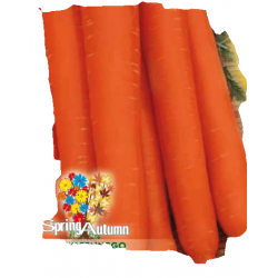 Nasiona Marchew Pierwszy Zbiór Tor109