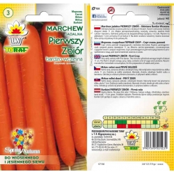 Nasiona Marchew Pierwszy Zbiór Tor109