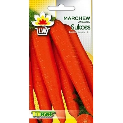 Nasiona Marchew Sukces późna Tor110