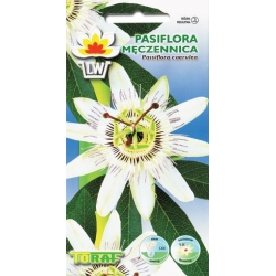 Nasiona Męczennica, Pasiflora Tor390