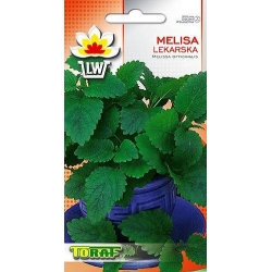 Nasiona Melisa lekarska Tor595
