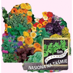 Nasiona Mieszanka anty komarowa Tor394