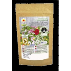 Nasiona Mieszanka roślin miododaj. podmokłe Tor507