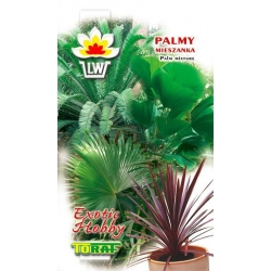 Nasiona Palmy mieszanka Tor620